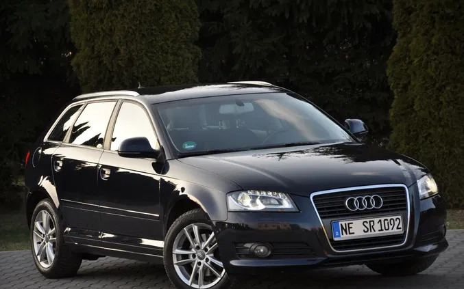 dolnośląskie Audi A3 cena 31999 przebieg: 224000, rok produkcji 2010 z Bolków